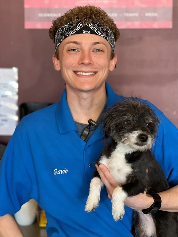 Chandler Dogs 24/7 Dog Daycare, Dog Boarding